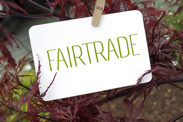 Roter japanischer Ahorn mit Schild Fairtrade