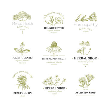 Herbal logos.