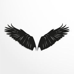 Wings of birds. Vector illustration. Black and white view.