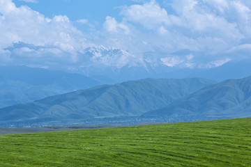 green field and mountain views