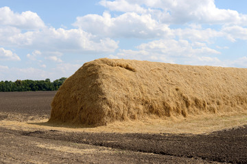 Haystack on the field