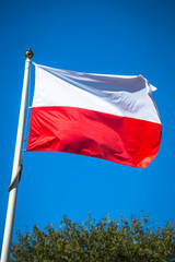 Polish flag on a pole against blue sky