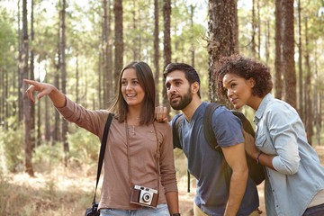 Friends looking at something in a forest