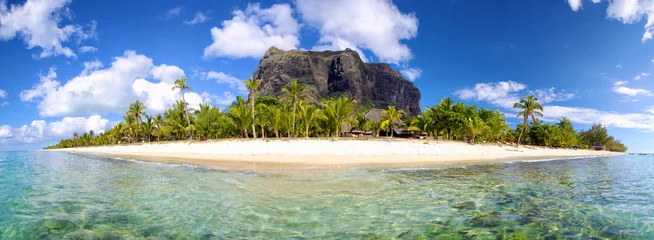 Abwaschbare Fototapete Insel Panorama der Insel Mauritius mit dem Berg Le Morne Brabant