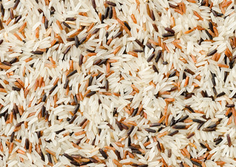 detail of uncooked mix rice grains background