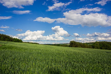 Summer countryside with green pasture and blue sky with clouds - Czech Republic, Europe