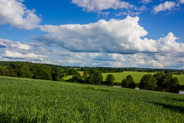 Fototapeta na wymiar Summer countryside with green pasture and blue sky with clouds - Czech Republic, Europe