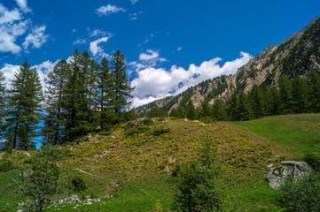Panorama montano sulle alpi italiane, gita in montagna, paesaggio montano, prato e acqua alta montagna, trekking in montagna sulle alpi