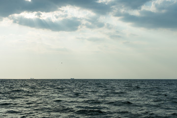Two cargo ships floating in the distance, followed by birds