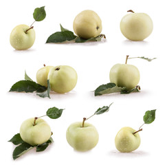 Collection of summer apples isolated on white background