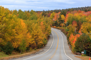 Beautiful fall colors of Acadia National Park