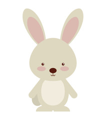 Fototapeta na wymiar woodland rabbit animal character cute icon