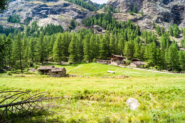 Panorama di montagna, casolare montano, vecchie case su sentiero di montagna, baite in montagna,...