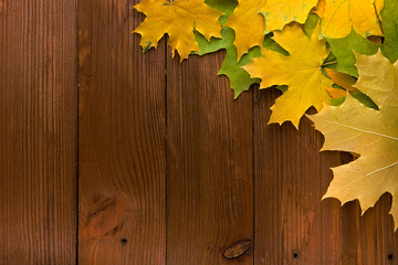 Naklejka na ściany i meble Autumn leaves over old brown wooden background with empty space