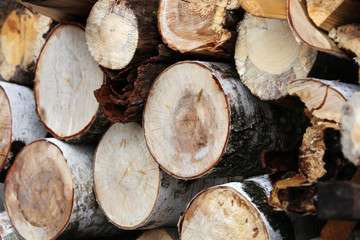 Wood fuel texture