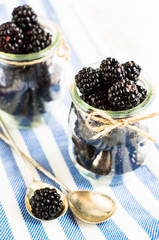 Fototapeta na wymiar Ripe organic blackberries