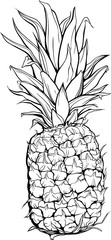 image of pineapple.