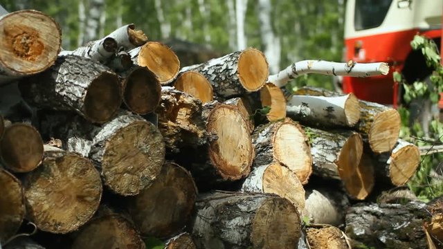 Stack of wood. Logs are evenly stacked. Round log. A large truck. Wood. Felled trees. Lumber. Trees for house construction. Stack of wood logs