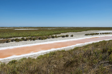 Salina in camargue