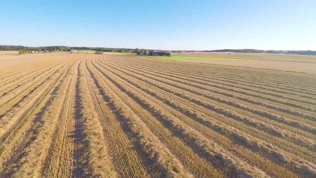 Flying over organic grain fields after harvest on a farm