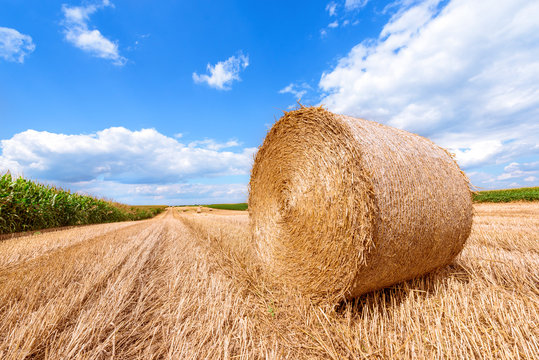 Landscape image of a bale of hay in a recently cropped field of wheat