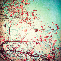 Obraz na płótnie Canvas Vintage autumn leafs in a tree