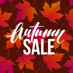 Autumn seasonal banner design. Fall leaf. Vector illustration