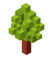 Obraz premium tree plant isometric icon