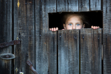 Locked the child anxiously looks through the crack in the barn door.