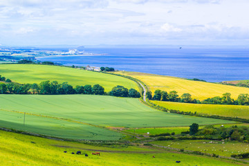 Obraz premium Scottish summer landscape, East Lothians, Scotland, UK