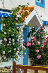 Fototapeta na wymiar A house with pink roses, Scotland