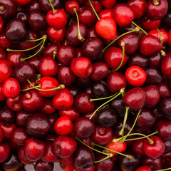 Sweet cherry.  cherry background