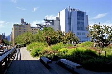 Walking on the High Line, NYC, Gardens