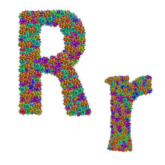 letter R made from bromeliad flowers isolated on white backgroun