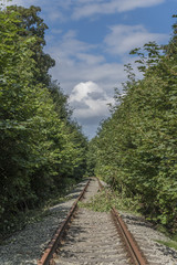 Fototapeta premium Railway track near village Radejcin