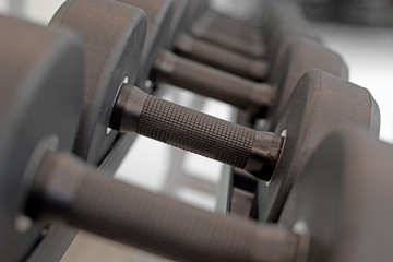 sports dumbbells in the gym