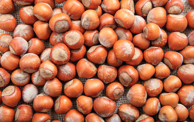Unpeeled hazelnuts full background