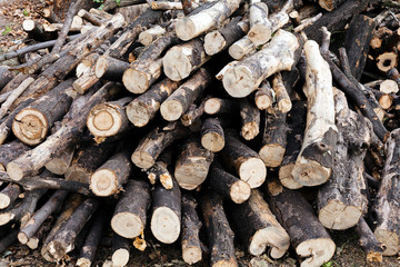 wooden logs