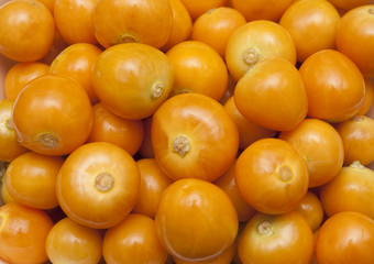 physalis fruit