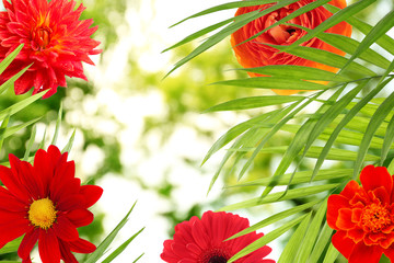 Frame of different flowers and palm leaves with space for text on blurred background.