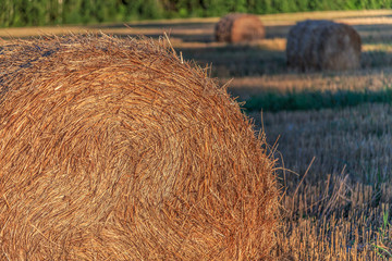 Straw pressed into bales, rural views