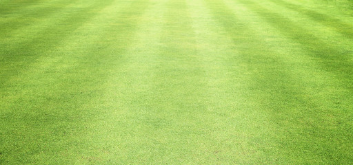 Lawns, golf courses and counter Wooden floors
