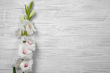 Beautiful Gladiolus Flower  Wooden
