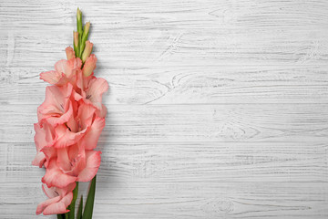 Beautiful gladiolus flower on  wooden background