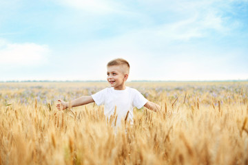 Little happy boy in the field