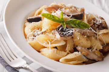 pasta with roasted porcini mushrooms and parmesan close-up. horizontal
