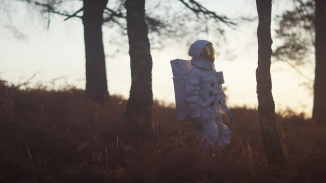  Astronaut walking in woodland area looking for signs of life