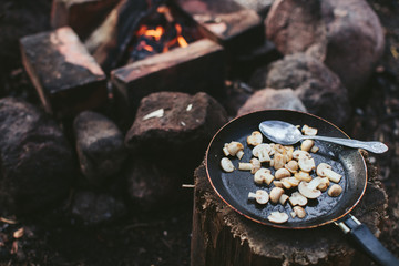 fried mushrooms in a skillet at the burning fire in nature