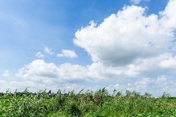 Obraz premium Beautiful blue sky and white clouds nature background