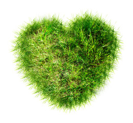 Heart made of green grass